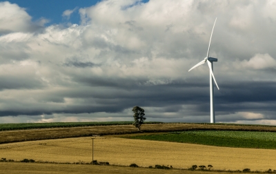 A Turbine, A Tree & A Telephone Pole
