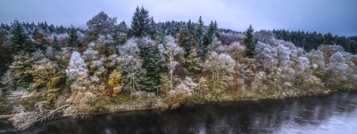 Autumnal Freeze
