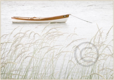 Boat and Grasses
