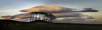 Copse And Clouds
