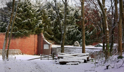 Dunnottar Gardens
Winter& sun - ideal!
Keywords: sun snow trees