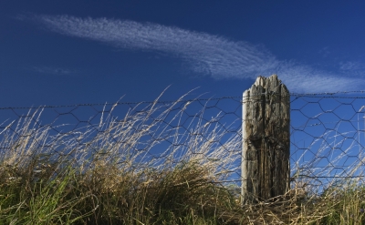 Fence and Post
On the coastal path at Dunnottar Castle.
