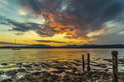 Furry20sunset_0919.jpg