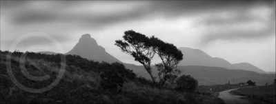 Highland Desolation
