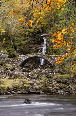 Packhorse bridge vertical, Glen Lyon
Keywords: "Packhorse bridge" "Glen Lyon"