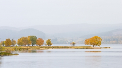 Misty Loch Rannoch
Keywords: "Loch Rannoch" "Autumn Colour"