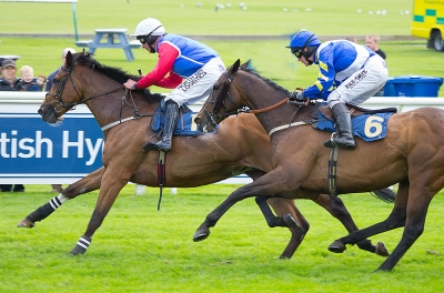 Perth Races 8
4th July 2013 meeting
Keywords: "Perth Races" horses racing jockeys