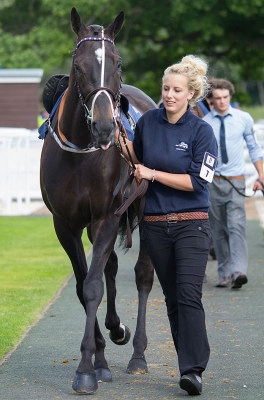 Perth Races 2
4th July meeting 2013
Keywords: "Perth Races" racing horses jockeys