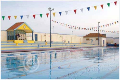 Lone Swimmer
