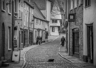 MarkWoodfin_ElmHill_3200px
