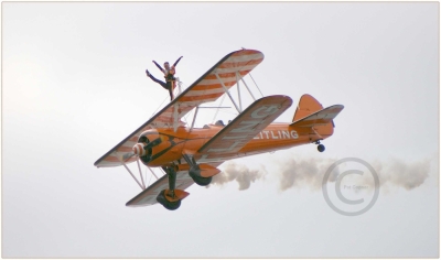 On the Wing
