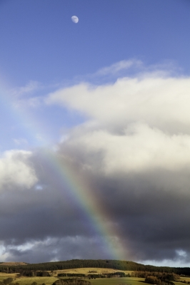 Rainbow
Well, that's what it is!
