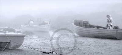 Shore Mist
