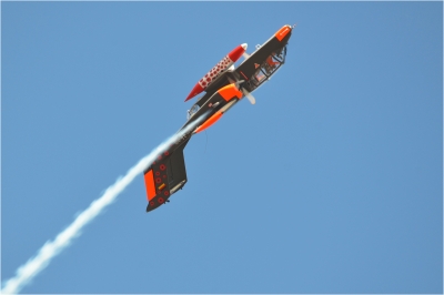 Soaring Bronco
