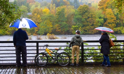 Watching the Tay
