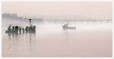 Tay Morning Mist
