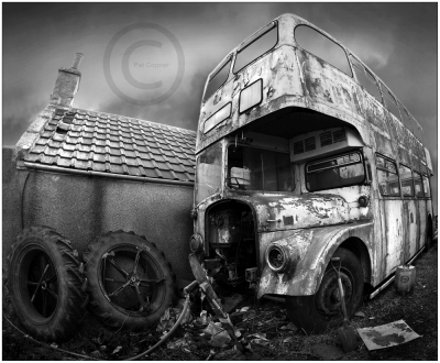The Last Stop
