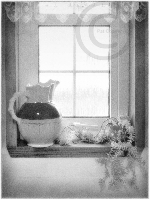 The Window
