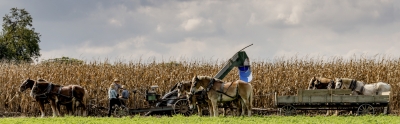 Traditional Farming 
