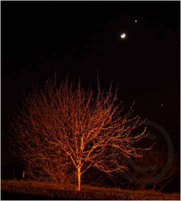 Venus, Moon & Jupiter 
