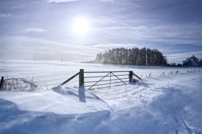 Winter20sun.jpg