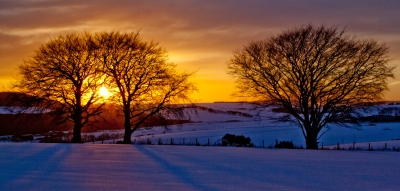 Winter Sunset
