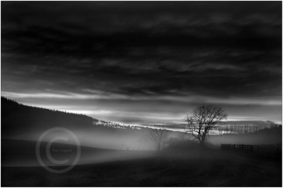 Winter Evening
