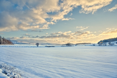 winter20sky.jpg